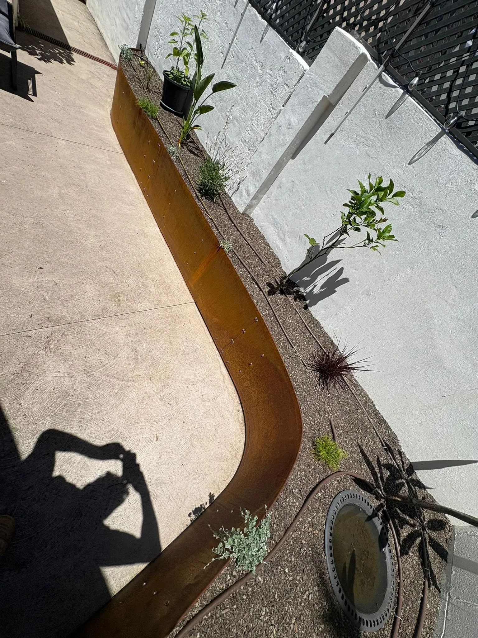 Earlwood Deck & Garden — view 3